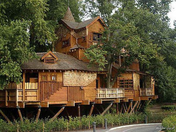 زیباترین خانه های جهان بر فراز درختان 