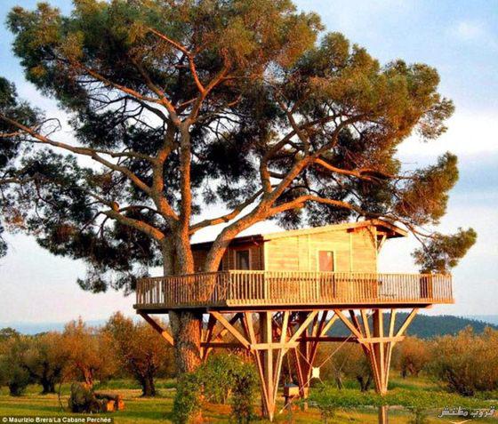 زیباترین خانه های جهان بر فراز درختان 