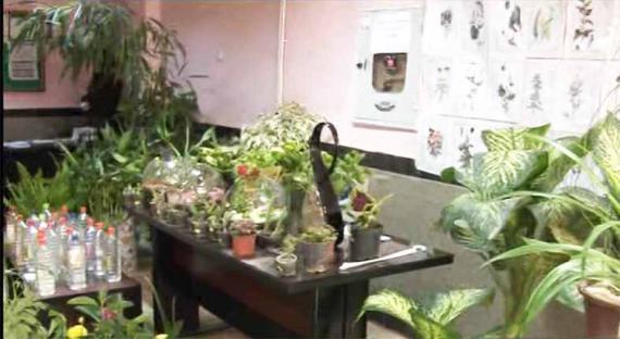 نمایشگاه گل ها و گیاهان زینتی در رزن برگزار شد 