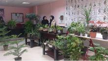 نمایشگاه گل ها  و گیاهان زینتی در رزن برگزار شد 