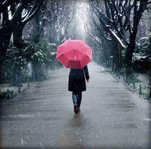  چتری برای حمایت از خانواده های زن سرپرست 
