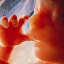 کشف یک معجزه قرآنی درباره جنین