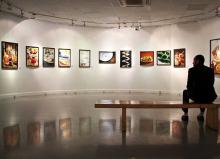نمایشگاه,همدان,نمایشگاه عکس و کاریکاتور,مجتمع فرهنگی شهید آوینی