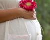 باورهای غلط رژیم غذایی هنگام بارداری 