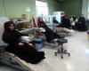 اهدای 646 واحد خون توسط بانوان همدانی 