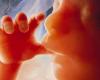 کشف یک معجزه قرآنی درباره جنین
