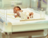 نوزاد, بیمارستان, کادر پزشکی, افزایش نسل